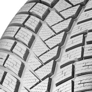 Vredestein Wintrac Pro Reifenprofil
