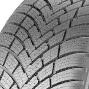 Barum Polaris 6 Reifenprofil