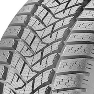 Dunlop Winter Sport 5 Reifenprofil