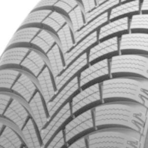 Maxxis Premitra Snow WP6 Reifenprofil