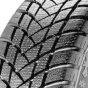 GT Radial WinterPro2 Reifenprofil
